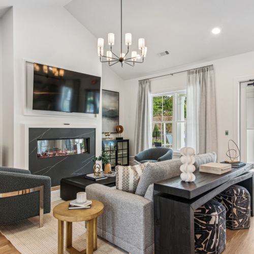 Access to resident only features clubroom with couches and a tv